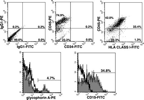 Hematopoietic Colony Forming Cells Derived From Human Embryonic Stem Cells Pnas