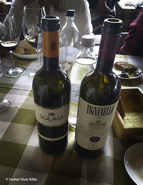 Roteiros De Vinhos Da Toscana