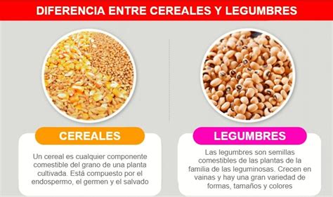 Diferencias Entre Cereales y Legumbres Nutrición