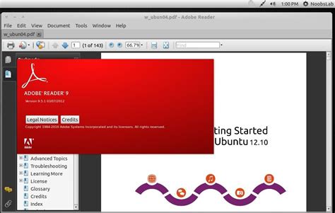 Install Adobe Acrobat Reader In Ubuntu Linux Mint