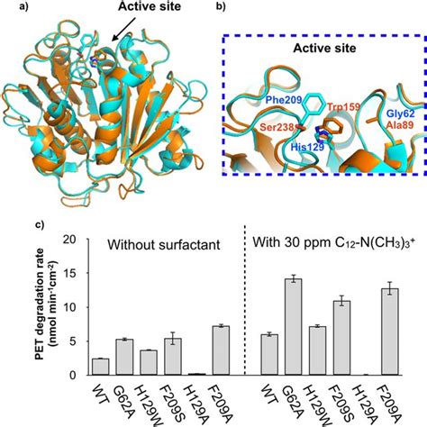 Active Site Structure Of A TfCut2 And B PETase Stick Models Show