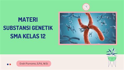 Materi Genetik Sma Kelas 12materi Biologi Kelas 12materi Substansi