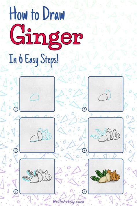 How To Draw Ginger 6 Step Drawing Lesson For Beginners In 2022 Drawings Drawing Lessons