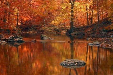 Autumn Screen Wallpapers - Wallpaper Cave