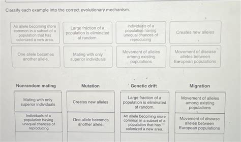 Solved Classify Each Example Into The Correct Evolutionary Chegg