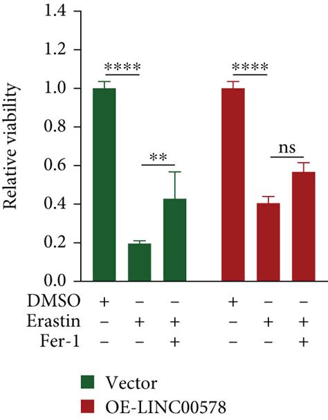 Linc Negatively Modulates Ferroptosis By Targeting Slc A A