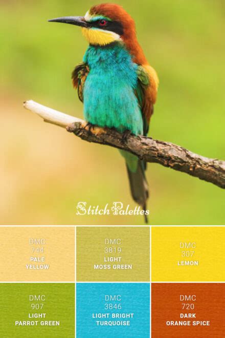 European Bee-Eater - Embroidery Color Palette (With Thread Codes)