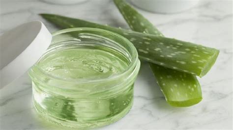 Réalisez une recette de masque maison à lAloe Vera pour une peau éclatante