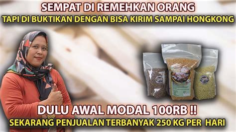 DULU SERING DIRENDAHKANAWAL MODAL CUMA 100RB SEKARANG LAKU 2 KUINTAL