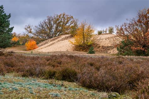 Forschung Monitoring Stiftung Naturlandschaften Brandenburg