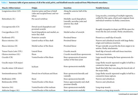 Table 2 From Digital Dissection Of The Pelvis And Hindlimb Of The Red