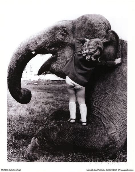 John Drysdale An Elephant Never Forgets Art Poster Print Print