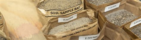 Deciphering Florida Keys Soil Pre Garden Essentials UF IFAS