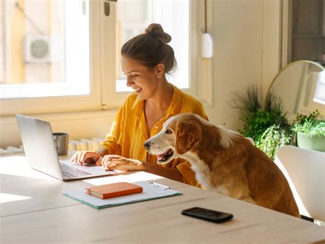 work finance career business news newscomau australias
