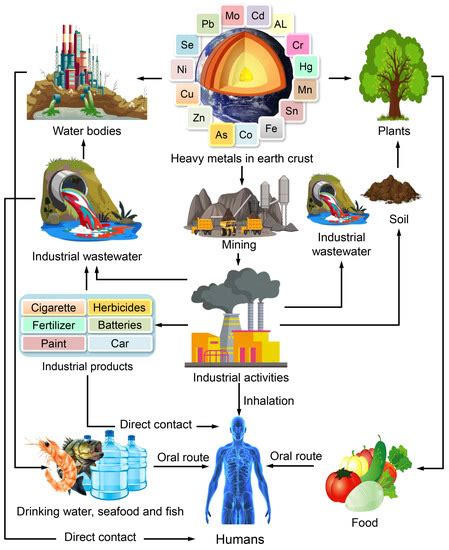 Toxics Free Full Text Toxicity Of Heavy Metals And Recent Advances