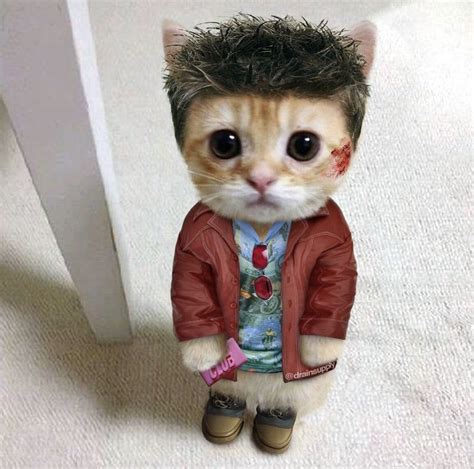 A Cat Wearing A Jacket And Shoes With Spiked Hair Sitting On The Floor