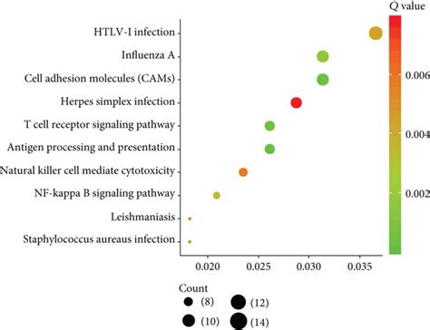 Kegg Pathway Analysis Of Aberrantly Methylated Differentially Expressed