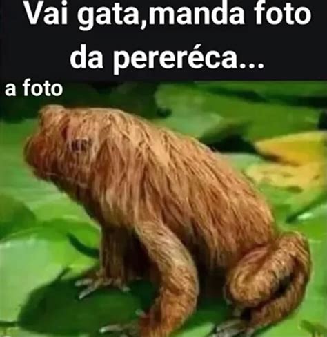 Vai Gata Manda Foto Da Perer Ca A Foto Ifunny Brazil