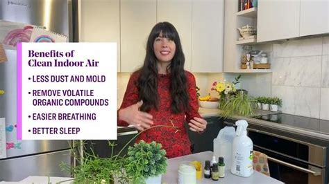 These Things Are Polluting The Air In Your Home — Heres How To Clean It Video Cityline