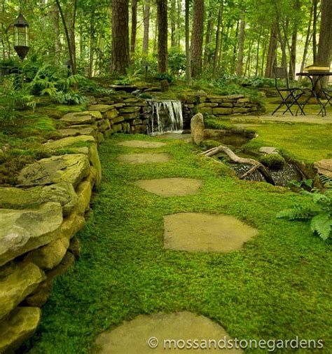 Moss Instead Of Grass Sacred Garden Stone Garden Paths English