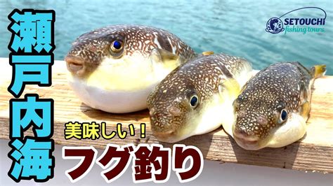 フグ釣り In 岡山県宇野港発 瀬戸内海 【ショウサイフグ】【カットウ釣り】 Youtube