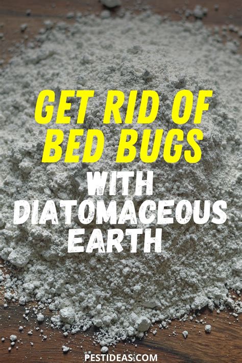 Learn how to Use Diatomaceous Earth to Kill Bed Bugs