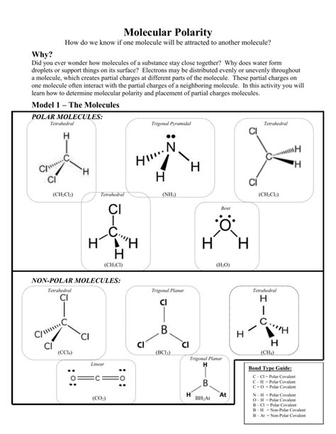 Polarity Of Molecules Worksheet Answer Key Printable Calendars At A