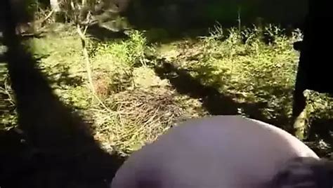 Free Mature Blowjobs Porn Videos XHamster