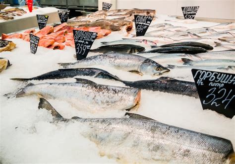 Pescado Fresco En Hielo Para La Venta En El Mercado Foto Premium