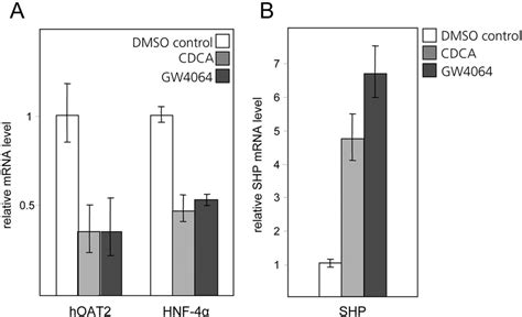 Treatment Of Huh7 Cells With Either CDCA Or The Synthetic FXR Agonist