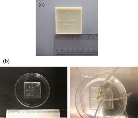 A Mold For Casting Pdms B Pdms Microfluidic Devices Download