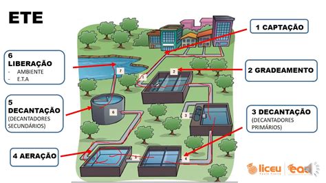 Tratamento De Esgoto Mapa Mental Ensino