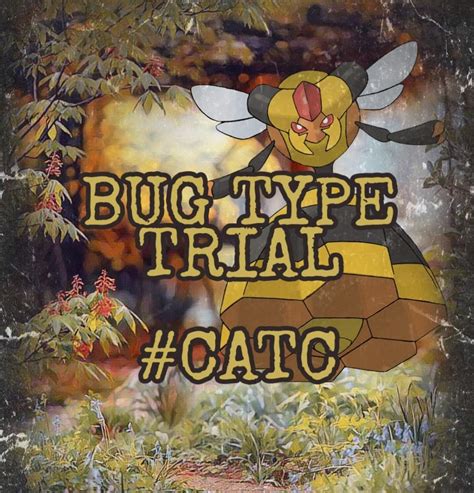 🐛bug Problem🐛 Create A Trial Challenge Pokémon Amino