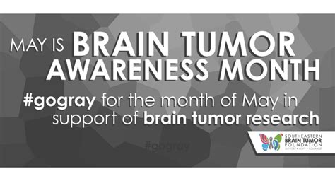 Brain Tumor Awareness Month Peri Trista