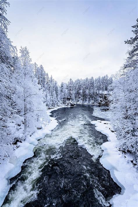 Winter Scene At Oulanka National Park Finland A Glimpse Of The Frozen