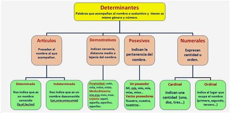 Esquema De Determinantes