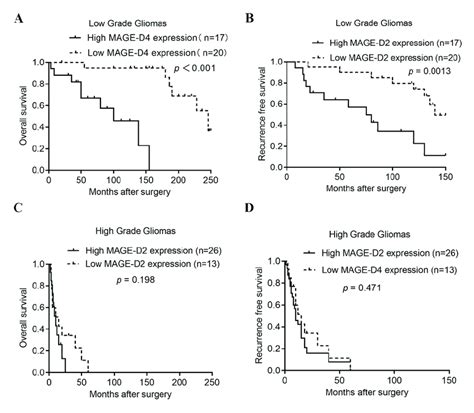 Kaplan Meier Curves Showing The Survival Of Glioma Patients With Download Scientific Diagram