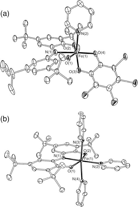 Ortep Diagrams Of A Ono Q Fe Ortho C O C L Py And B