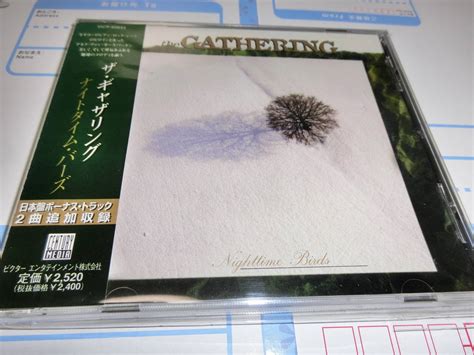 Yahoo The Gathering Nighttime Birds Cd