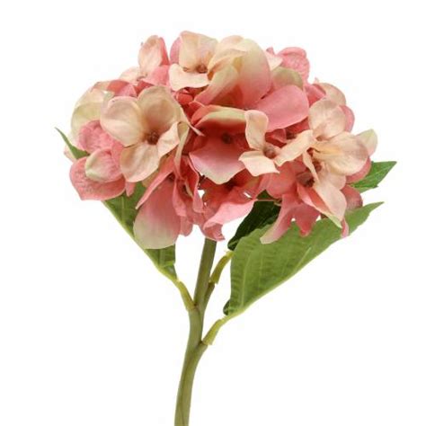 Floristik24 Fr Hortensia Beige Rose 35cm