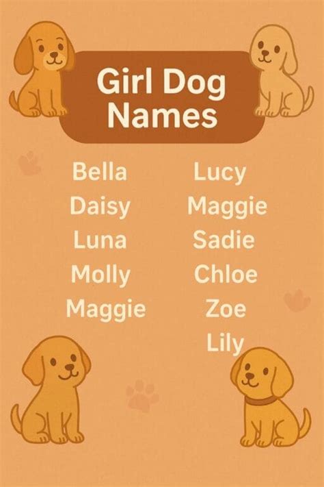 100+ Girl Dog Names for Your Furry Princess — Trending Us