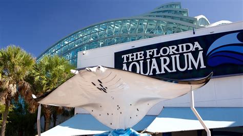 Florida Aquarium in Tampa, Florida | Expedia