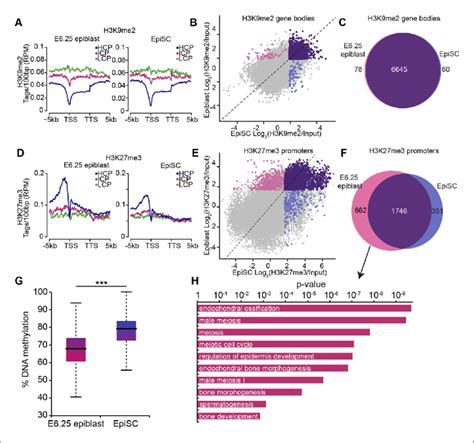 Episc Show Aberrant H K Me Distribution And Dna Hypermethylation At