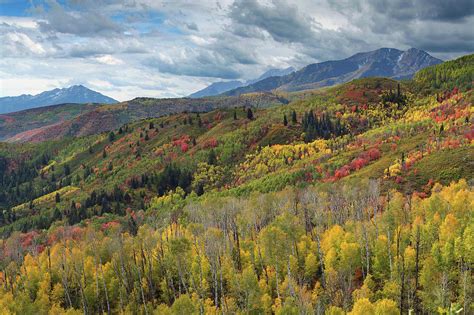 Big Cottonwood Canyon Fall Colors Photograph by Dean Hueber - Fine Art ...