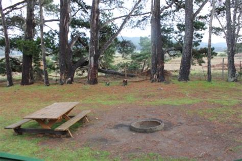 Manchester Beach Koa Updated 2017 Campground Reviews Ca Tripadvisor