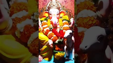 Ganpati Bappa Morya 🌺🌺🌺 Youtube