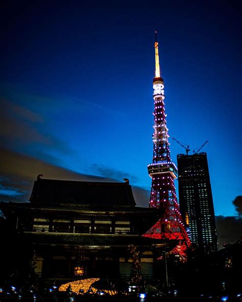 【大本山 増上寺】口コミ・アクセスと周辺観光ガイド・地図 東京タワーとのコラボが絶景！都会のど真ん中に佇む600年の歴史を誇る寺