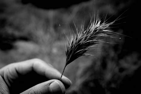 How to Photograph Nature