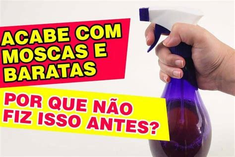 Como Espantar Os Insetos Da Sua Casa Usando Uma Misturinha Caseira