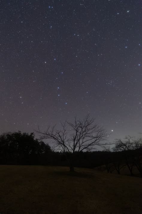 星の観察館「満天星」 On Twitter 今夜の能登の星空です。 雲ひとつなく美しい星空が見えています。 今週と来週は午後8時頃に月明かり影響はほぼありません。星空が見やすい時期です